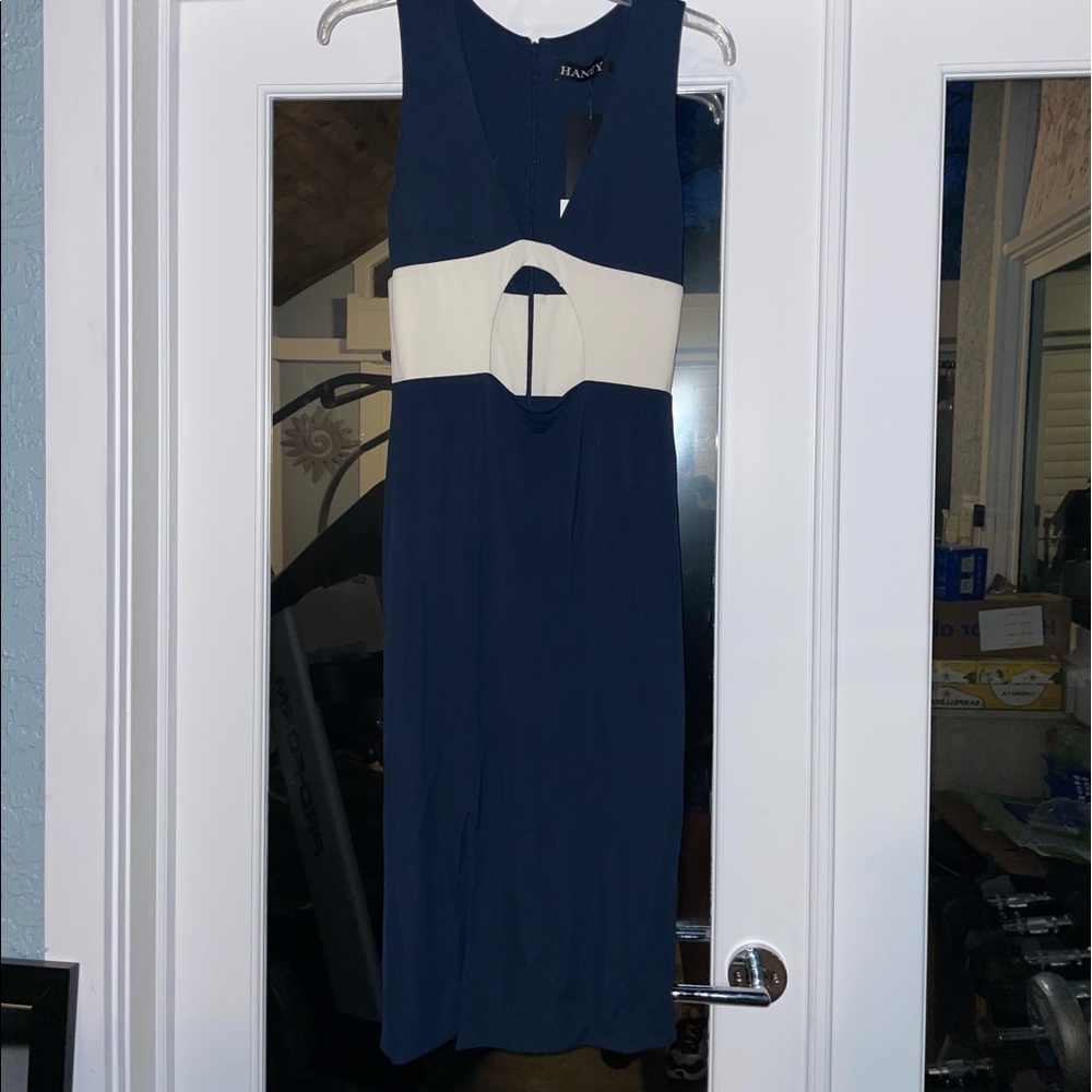 NWT Haney dress